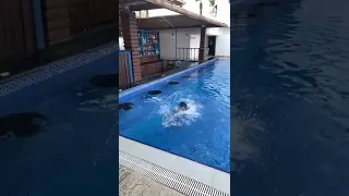 Düşüş ⛵️ #havuz #pool #sea
