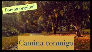 Poema - Camina conmigo