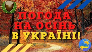 Осінь прилетить рано: синоптики розповіли, коли чекати холодини і перших морозів в Україні