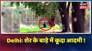 Delhi के चिड़ियाघर में शेर के बाड़े में कूदा आदमी, आदमी को सुरक्षित को बाहर निकाला गया |Watch Video