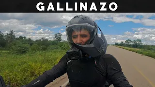 GALLINAZO me CHOCA y ME ROMPE el CASCO en PLENA CARRETERA | PARAGUAY | Mundo en moto | cap #84