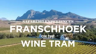 Franschhoek Wine Tram, South Africa | Safari365
