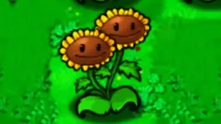 I'm just a sunflower you see