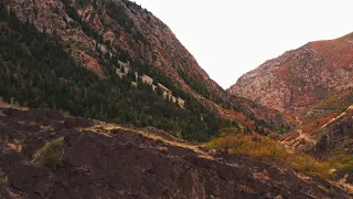 Fall colors in Big Cottonwood Canyon 4K