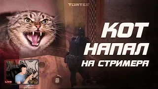 КОТ НАПАЛ НА СТРИМЕРА В ПРЯМОМ ЭФИРЕ😦TORTEE PUBG Mobile (1)