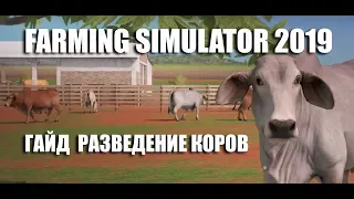 Гайд разведение коров Farming Simulator 2019