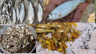 Net Fishing|| #netfishing #netfishingvideos|| Luikal, Lendêng, Sangha man. #mizoram