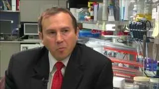 New Tests for T-Cell Lymphoma