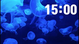 15 MINUTE TIMER:  Relaxing Music LoFi Jellyfish Underwater Background