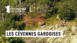 Les Cévennes Gardoises - Cévennes - Les 100 lieux qu'il faut voir - Documentaire