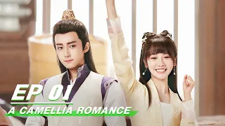 【FULL】A Camellia Romance EP01 | 许纯纯的茶花运 | Guo Zifan 郭子凡, Li Mozhi 李墨之 | iQiyi