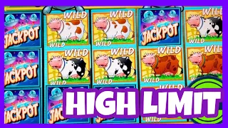 CRAZY JACKPOT ON PLANET MOOLAH HIGH LIMIT 🟢 FREE GAMES MAX BETS HUGE WINS