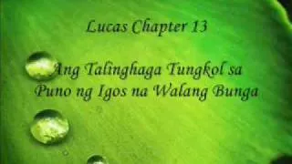 Patnubay Bible Study Luke 13:6-9