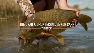 Trouts Tips - Using the Drag & Drop Technique for Carp