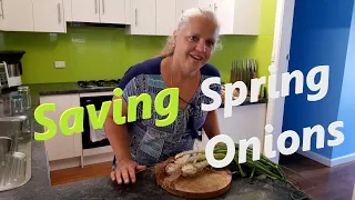 How to store spring onions for months Best way to freeze preserve scallions green onions