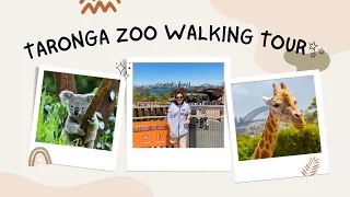 Taronga Zoo Full Walking Tour 🇦🇺✨