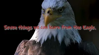 Seven things we can learn from the Eagle - Be the Eagle