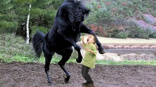 Мальчишка прикармливал буйного коня, которого все боялись, не догадываясь что он потом сделает с ним