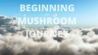 Beginning Mushroom Journey Music | Lofi Feel | Good Trip✨🍄