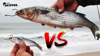 HUGE BAIT VS TINY BAIT! The BEST Surf Fishing Bait ( How to catch MORE fish )