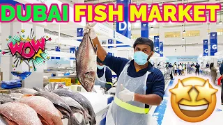 DUBAI FISH MARKET FULL TOUR