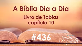 Curso Bíblico 436 - Livro de Tobias 10 - A espera de Ana e Tobit e a volta para casa - Padre Juarez