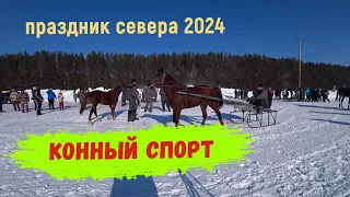 Конные скачки. Праздник Севера Лисино 2024.