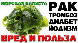 МОРСКАЯ КАПУСТА (ЛАМИНАРИЯ) - ПОЛЬЗА И ВРЕД. УДИВИТЕЛЬНЫЕ КАЧЕСТВА МОРСКОЙ КАПУСТЫ