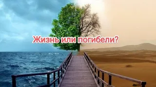 Жизнь или погибели? Мятыга Андрей