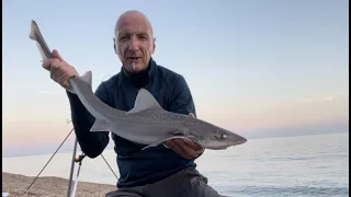 Chesil Delivers Once Again! Eight Species On A Stunning Evening!  Beach Sea Fishing in the UK.