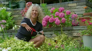 Gardeners World 2020 S53E22