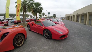 Ferrari owners 2019 Abu Dhabi #ferrari #shortvideo #reels #shorts