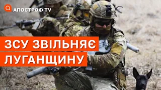 ЗСУ ЗВІЛЬНЯЮТЬ ЛУГАНЩИНУ: після Лимана буде вирішення питання Бахмуту / Апостроф тв