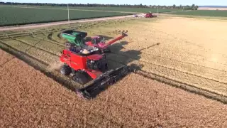 RiceTec rice harvest in Northeast Arkansas