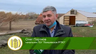 Родная земля 15/10/21 ТНВ