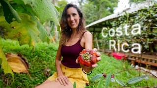 How To Create A Completely Sustainable Farm + Tour | Costa Rica