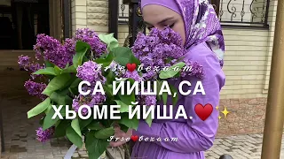 Песня для сестры на день рождения (йишан)