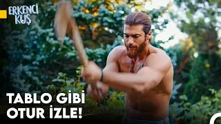 Odun Kıran Kas Adamı Doğal Ortamında İzleyeceksin - Erkenci Kuş