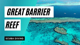 Scuba Diving The Great Barrier Reef in Australia