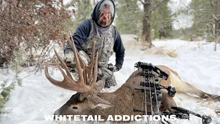 Public Land Mountain Bucks with Troy Pottenger