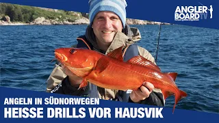 Angeln in Südnorwegen ‒ heiße Drills vor Hausvik Teil 1 ‒ Norwegen, Dorschangeln und Pollack Montage