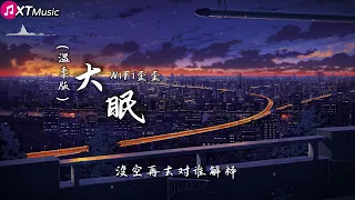 【大眠 (温柔版) - WiFi歪歪】♫(原唱: 王心凌)『都快忘了怎样恋一个爱 我被虚度了的青春 也许还能活过来』【动态歌词Lyrics】