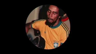 Bob Marley - Could You Be Loved [Goldn Skies Edit]