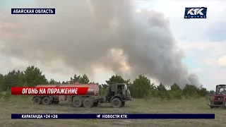 В Абайской области горит уникальный бор, общая площадь пожара достигла 3000 га