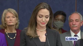 Angelina Jolie "The ugly truth is that violence in homes is normalized in our country."