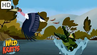 Every Creature Rescue Part 1 | Protecting The Earth's Wildlife | Wild Kratts