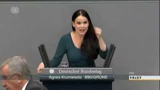 Rede zur Einbringung des Kulturhaushaltes 2013 von Agnes Krumwiede in der Generaldebatte