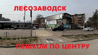 ЛЕСОЗАВОДСК ЦЕНТР ГЛАЗАМИ ПЕШЕХОДА