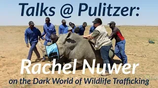 Talks @ Pulitzer: Rachel Nuwer on the Dark World of Wildlife Trafficking