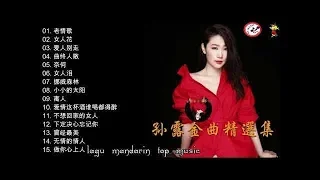 lagu mandarin Sun lu Album 孙露金曲精選集 Vol,2